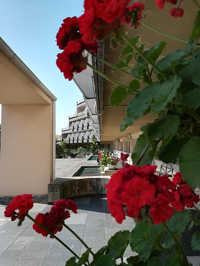 Гостиница Ива Gagra Exterior photo